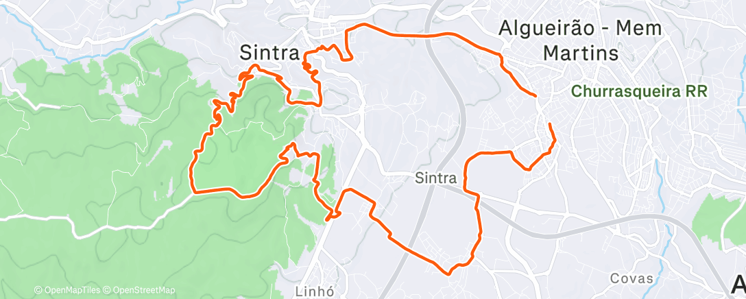 Карта физической активности (Gluteaux Maximus)