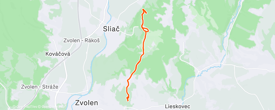 Карта физической активности (Lunch Trail Run)