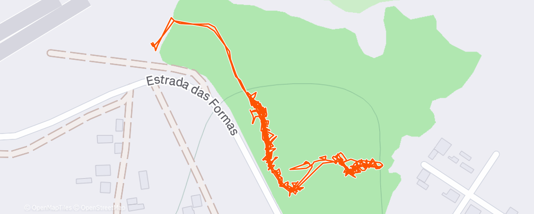 Карта физической активности (Caminhada matinal)