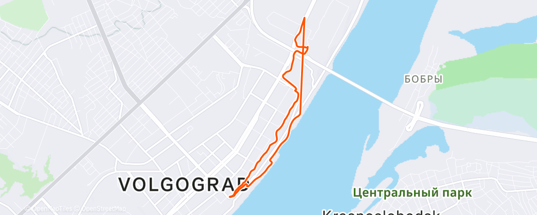 Карта физической активности (Вечерний забег)