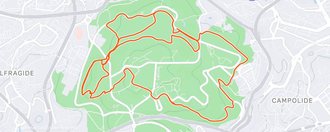 Карта физической активности (Morning Trail Run)