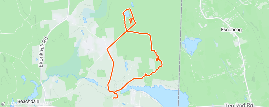 Map of the activity, Trail run with Sonja