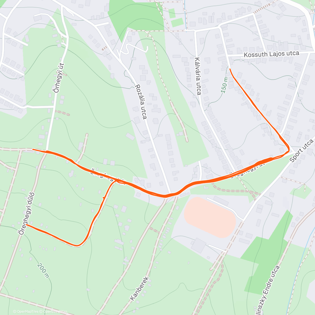 Map of the activity, Morning Run