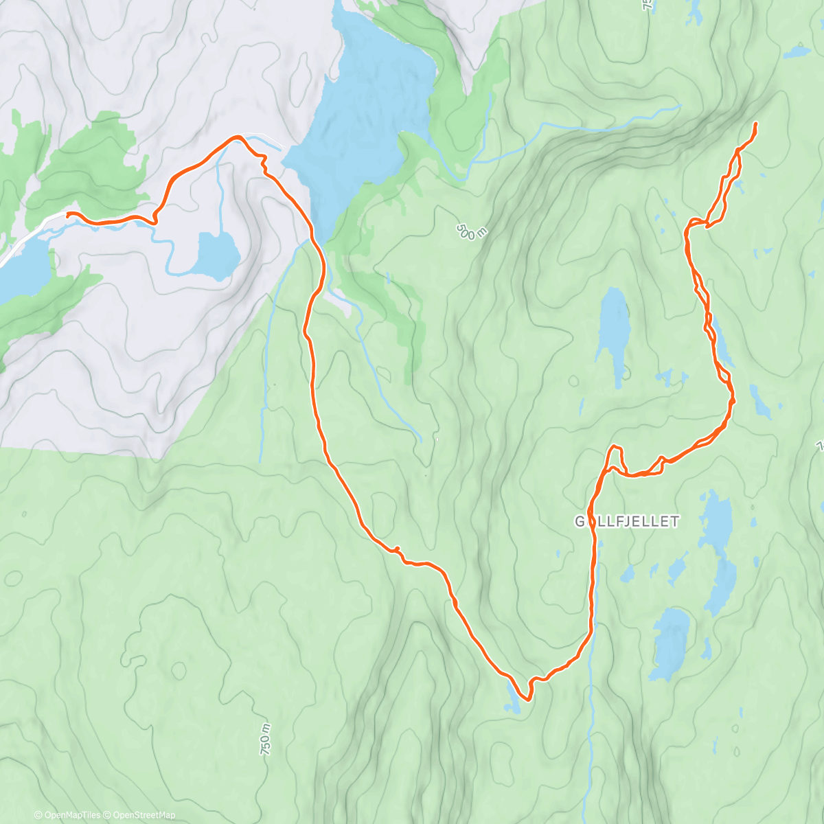 Map of the activity, Showing the Swiss dude some mountains. He was kinda impressed, but it was lacking in altitude