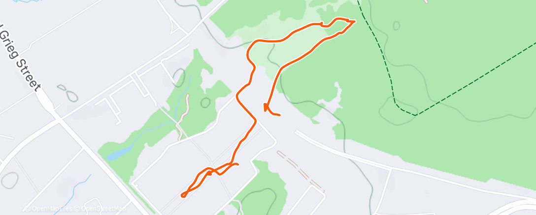 Map of the activity, Дневная прогулка