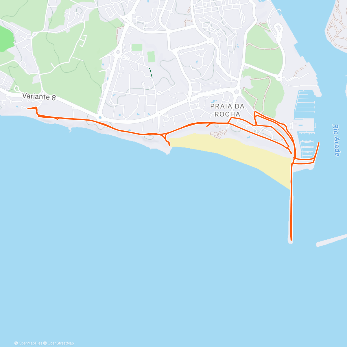 Карта физической активности (Portimao)