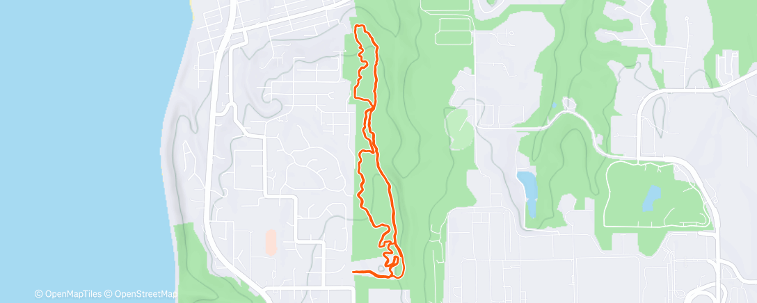 Карта физической активности (Morning Trail Run)