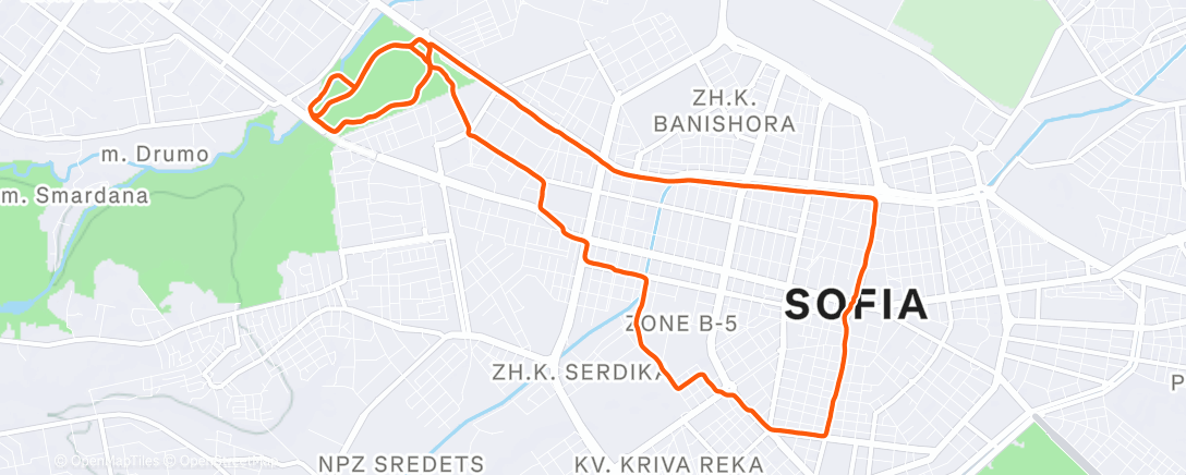 Карта физической активности (Lunch Run)