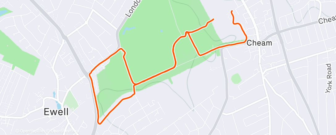 Карта физической активности (Morning Run)