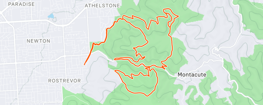 Map of the activity, Trail longy