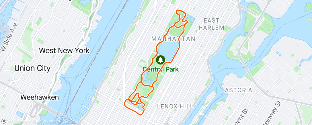 Mapa de la actividad, Zwift - Bike - LIT Rolle [0:45h] in New York