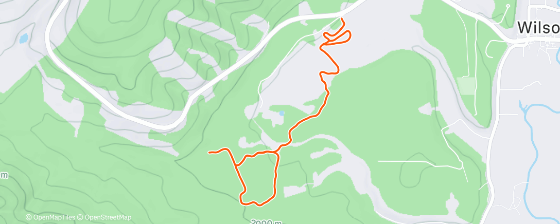 Map of the activity, dog walkies