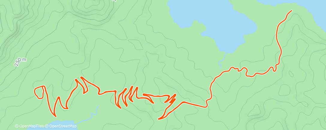 Карта физической активности (Zwift - Road to Sky in Watopia)