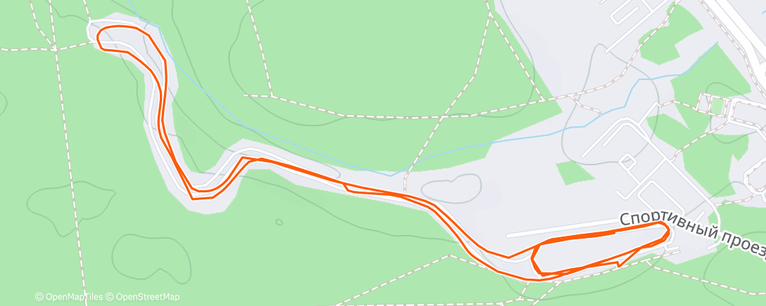 Карта физической активности (Morning Nordic Ski)