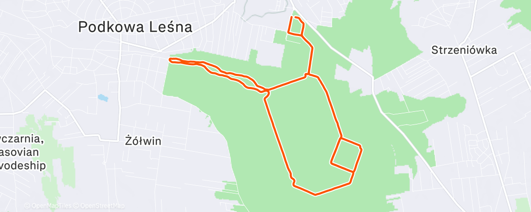 Карта физической активности (🟣 Speedplay/Fartlek 🐺 ♥️134/167)