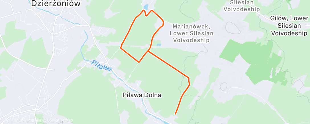 Map of the activity, Trap Run