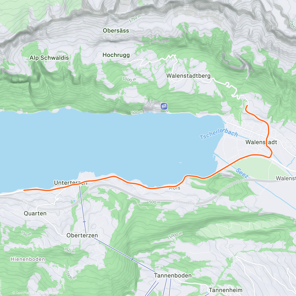 Карта физической активности (ROUVY - Zippy Warm-up)