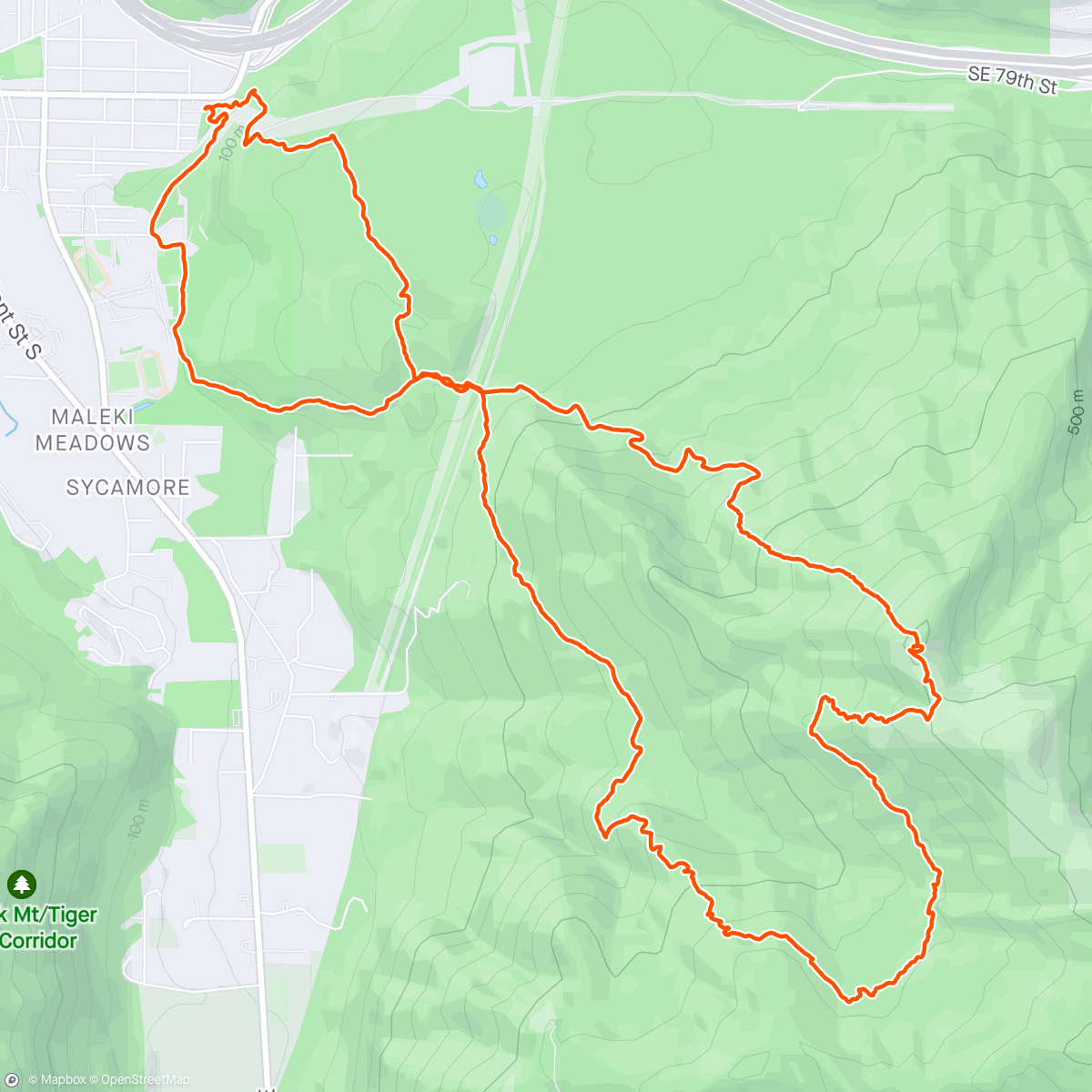 Map of the activity, Tiger Figure 8