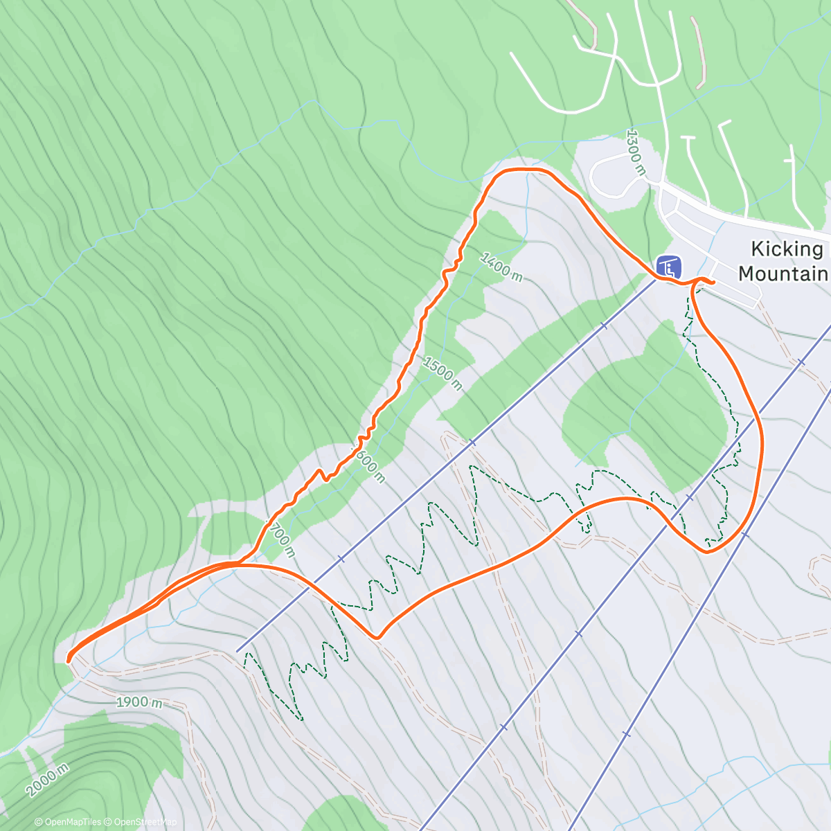 Map of the activity, I dream of cracking locks Throwing my life to the wolves