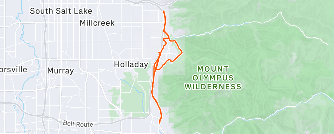 Map of the activity, Morning Run