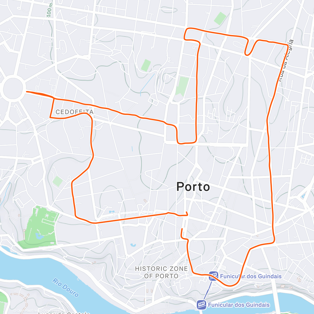 Карта физической активности (31.ª São Silvestre Cidade do Porto)