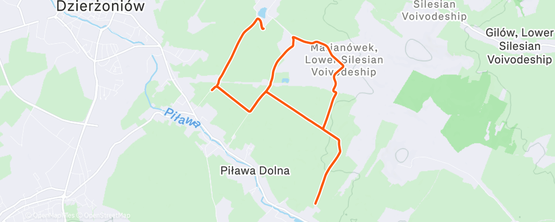 Map of the activity, Morning Run