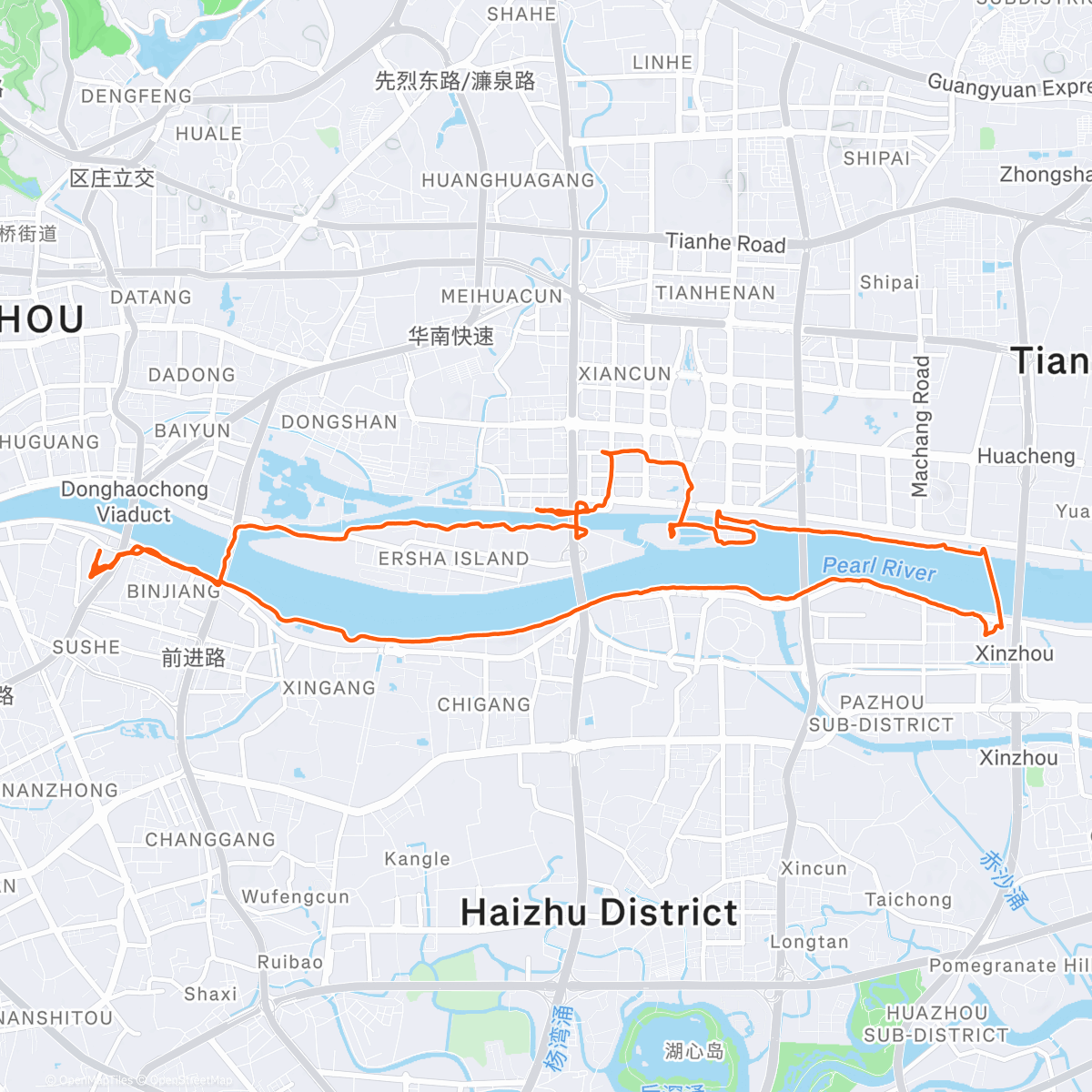 Карта физической активности (Afternoon Walk with Daddy)