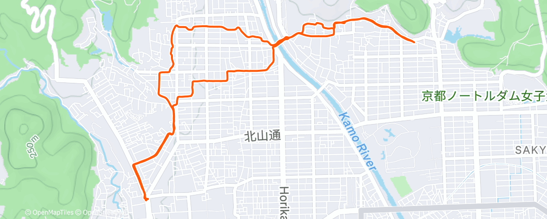 Map of the activity, BU