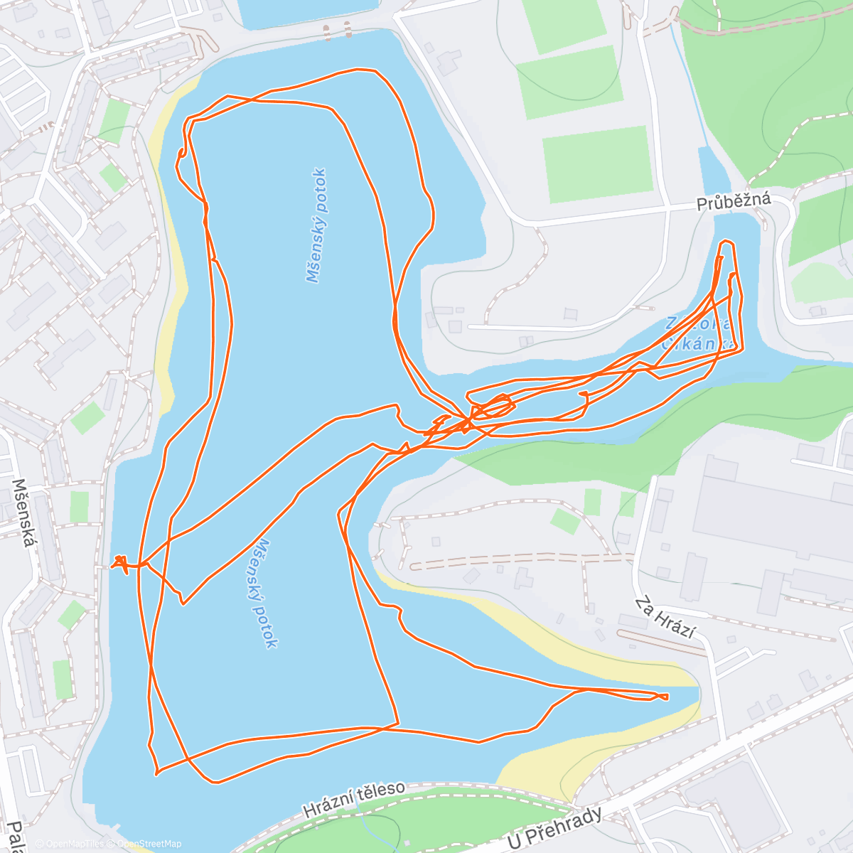 Карта физической активности (Skate)