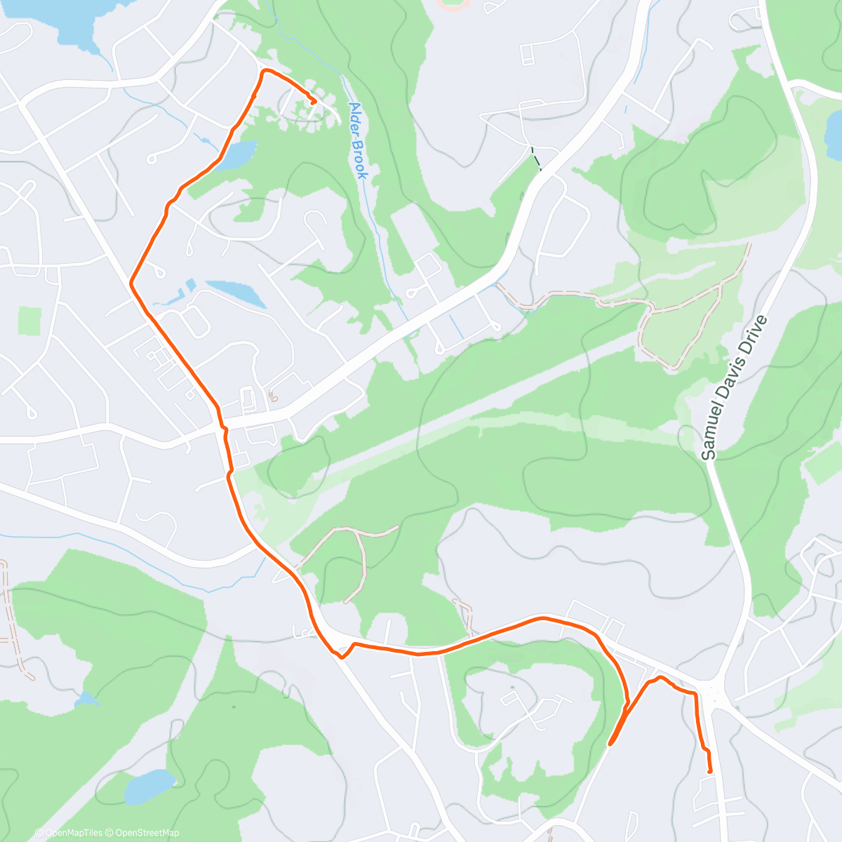 Map of the activity, Happy New Year!