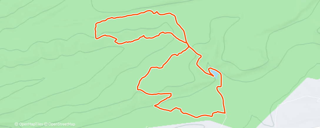 Mapa de la actividad (Morning Trail Run)