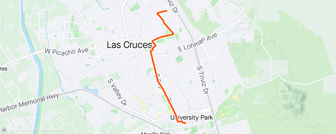 Map of the activity, The Path
