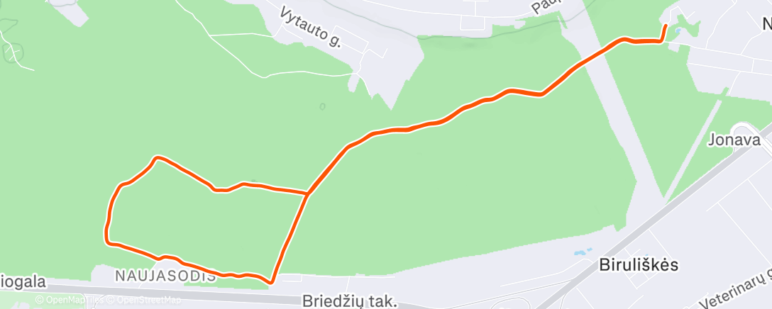 Карта физической активности (Lunch Run)