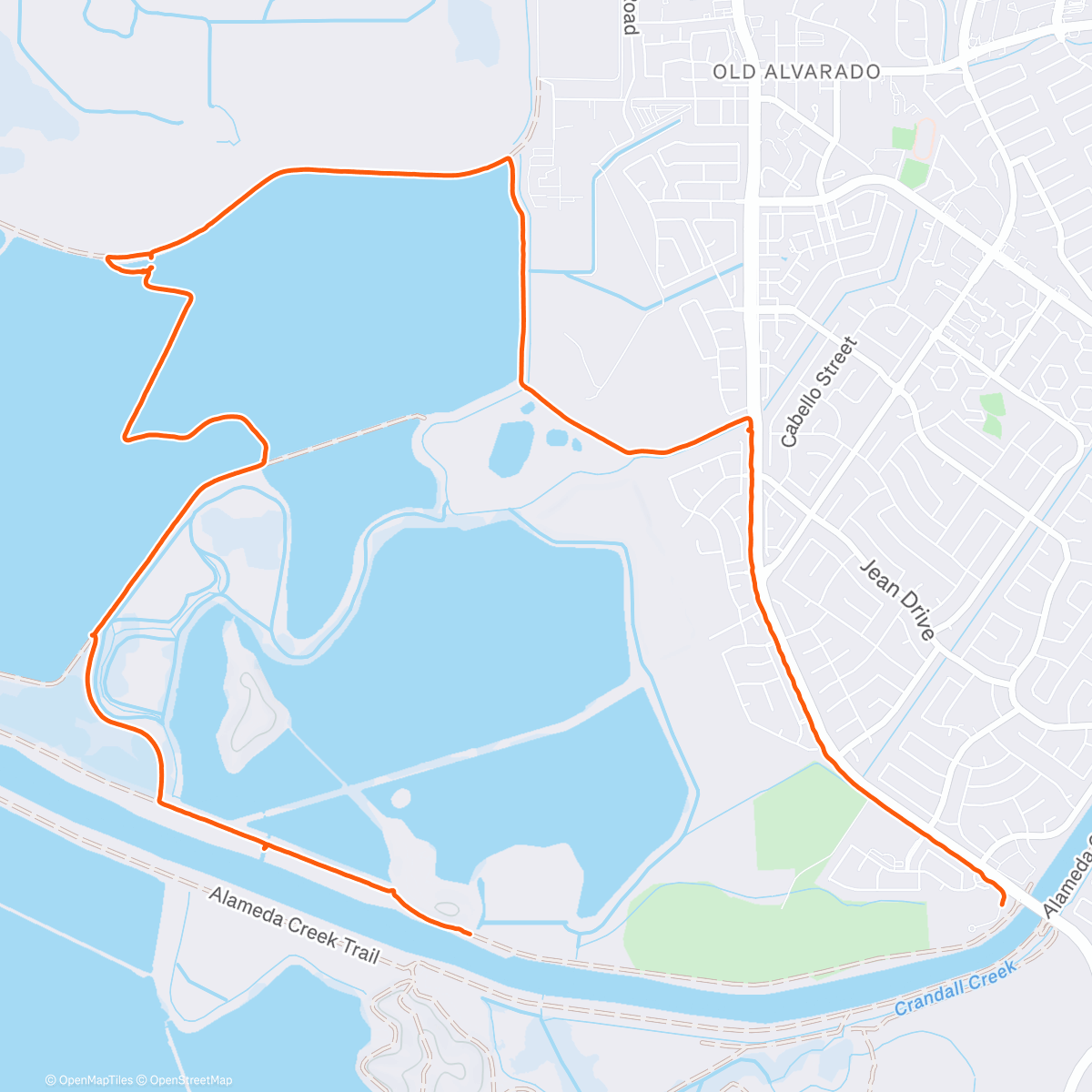 Map of the activity, Salt marsh