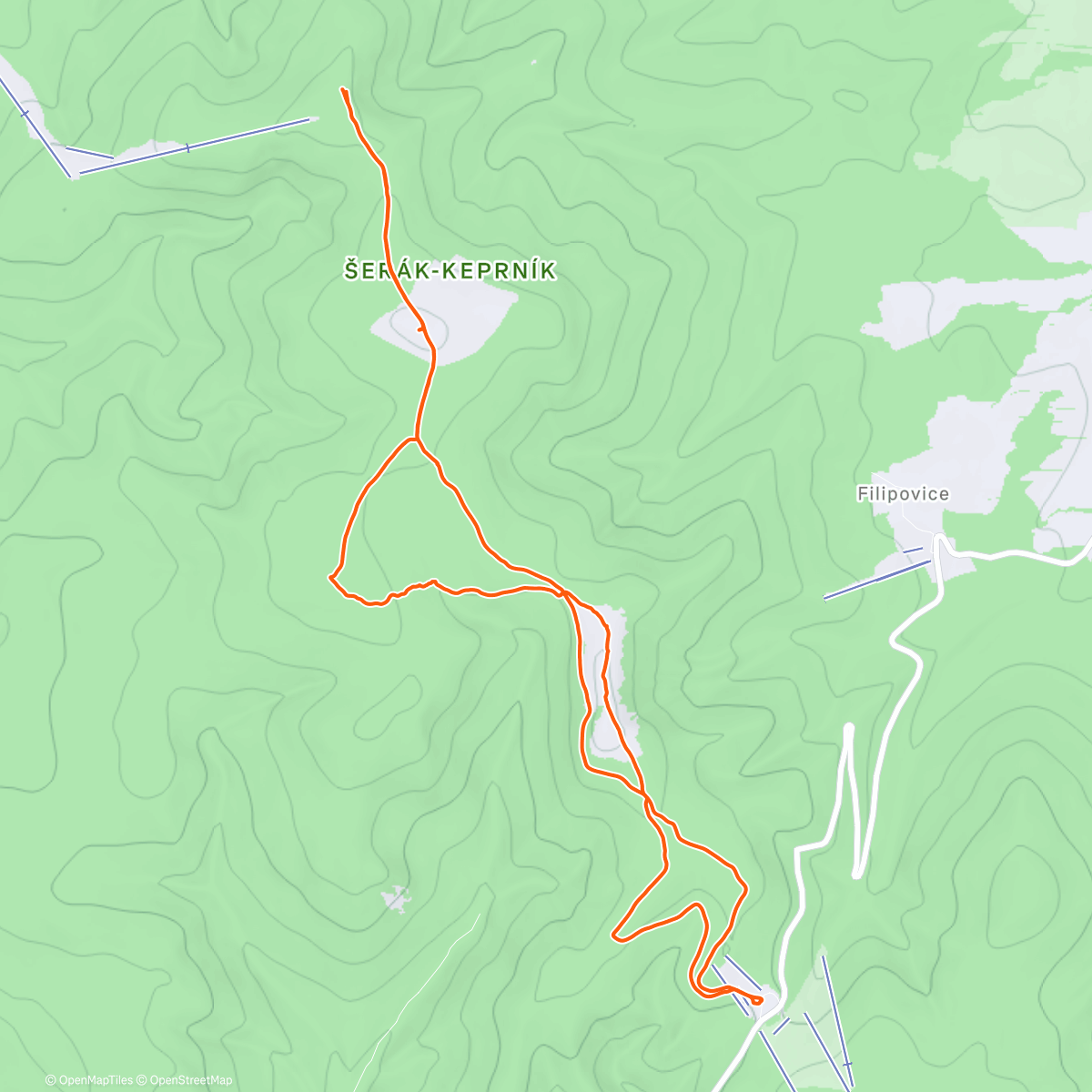 Map of the activity, Morning Walk