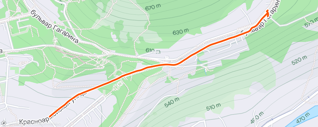 Mapa de la actividad (Morning Run)