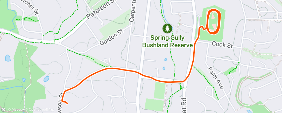 Map of the activity, Evening Run