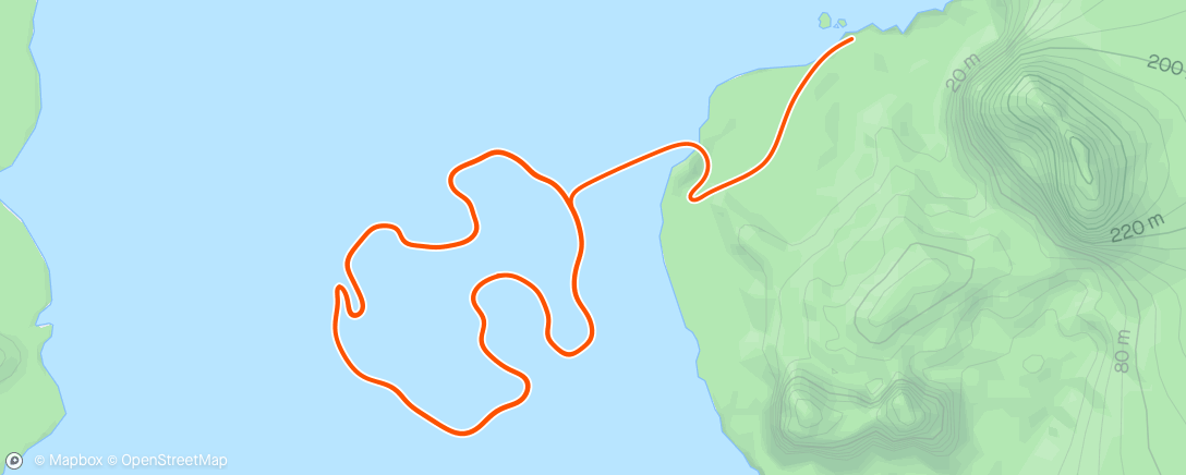 Карта физической активности (Zwift - Group Ride:  USMES Hawaii 🍍 Torturefest - Circuits of Death (C) on Volcano Circuit in Watopia)