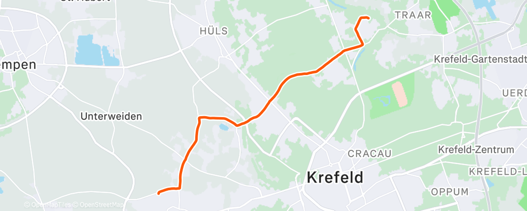 Карта физической активности (Lunch Run)