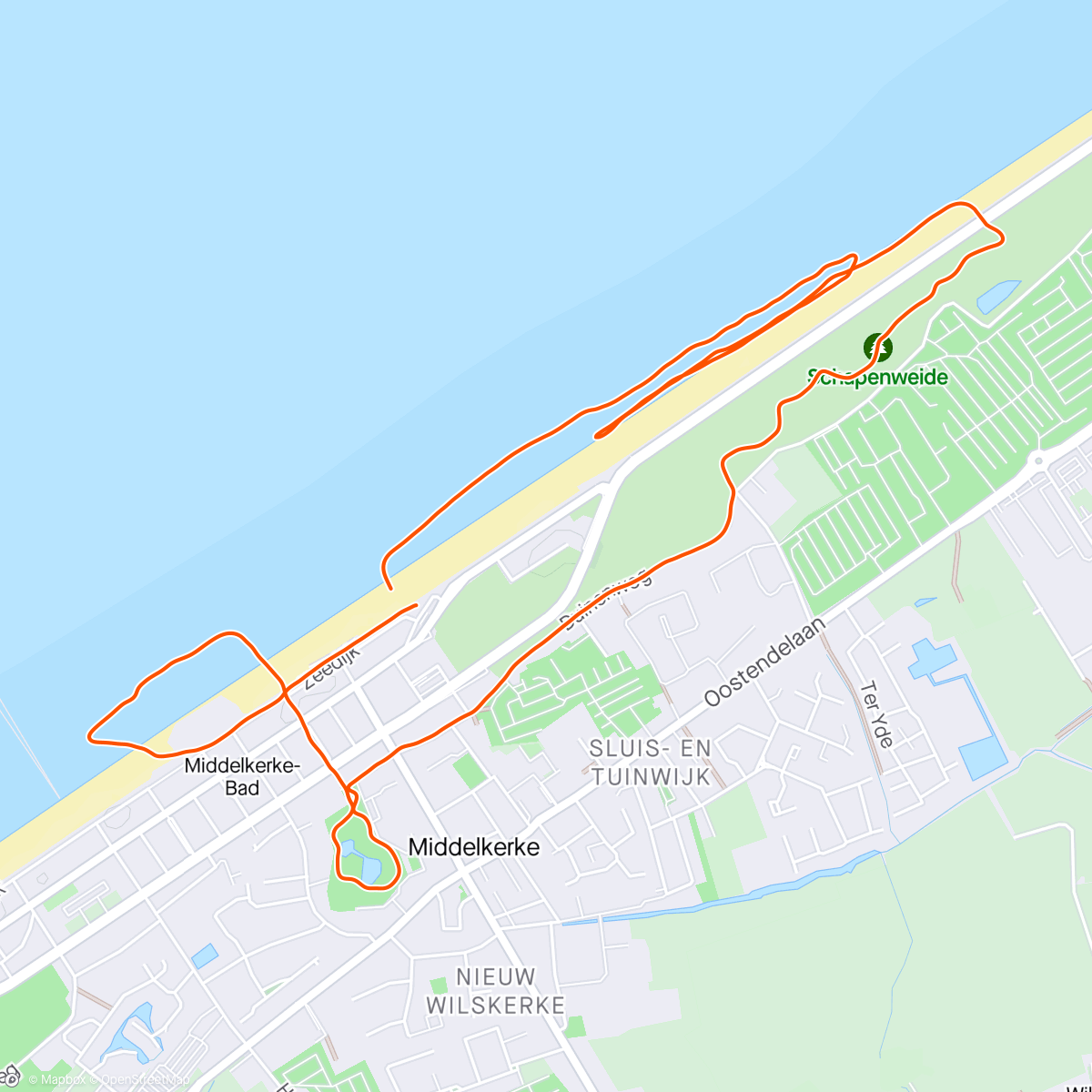 Map of the activity, Onverwachte loopbuddy 🐶