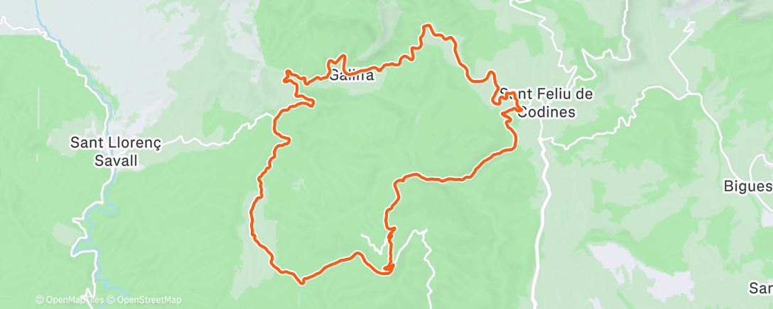 Map of the activity, Segon dia pulmonar MMR