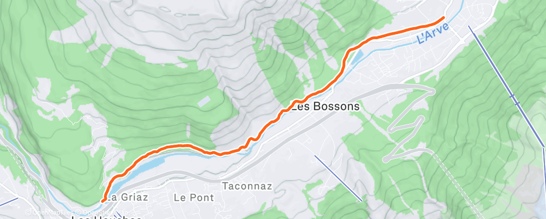 Map of the activity, Morning Trail Run