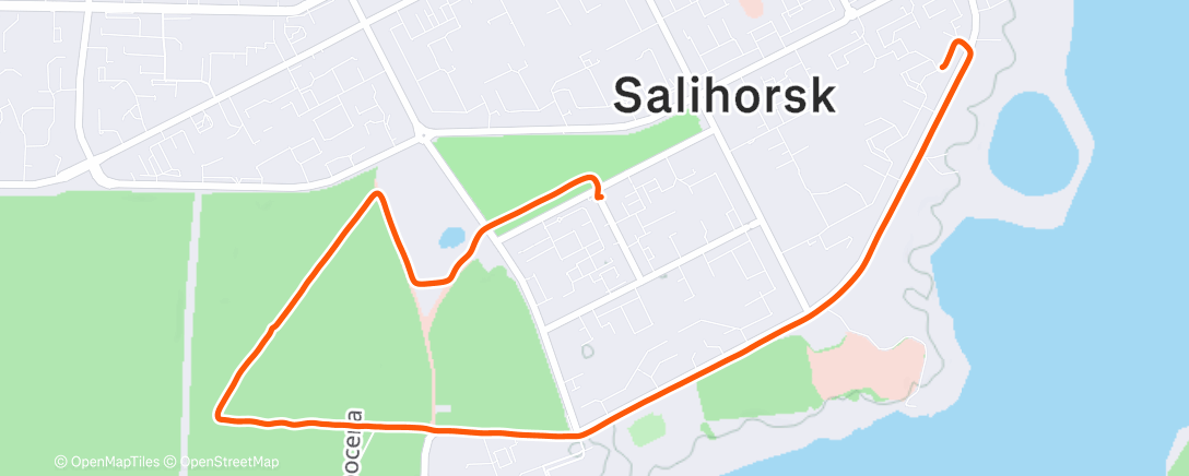 Карта физической активности (Afternoon Walk)