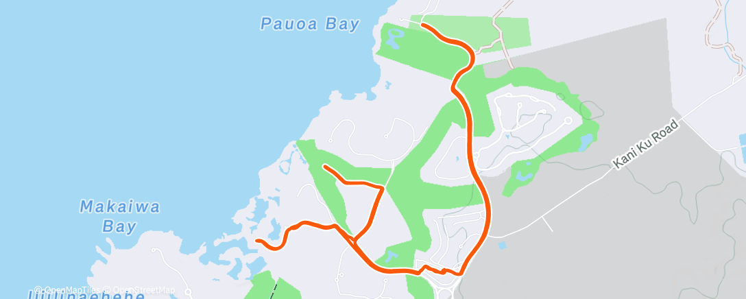 Map of the activity, Morning Run