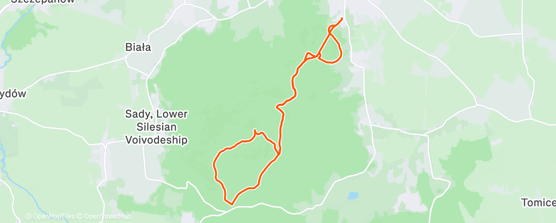 Map of the activity, Morning Run