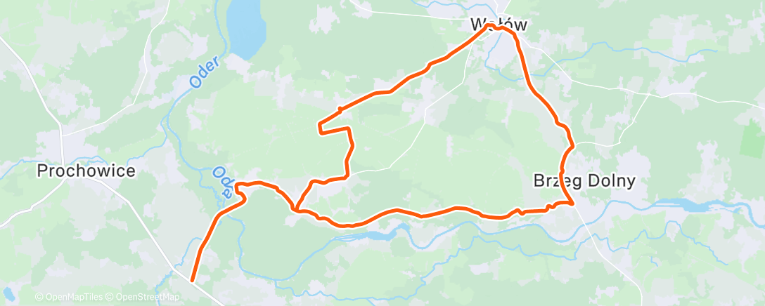 Карта физической активности (Afternoon Ride)