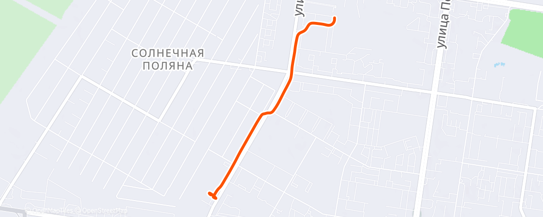 Карта физической активности (Утренняя прогулка)