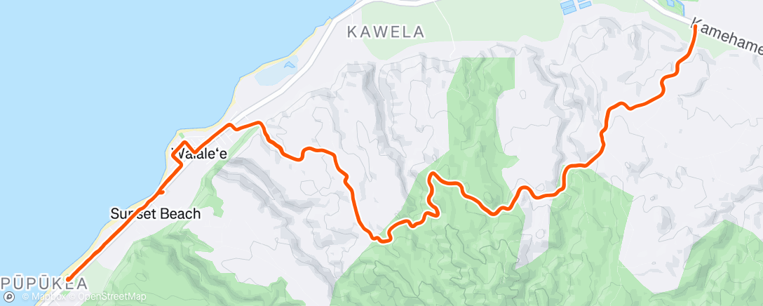 Map of the activity, Q: who is your most reliable training companion?