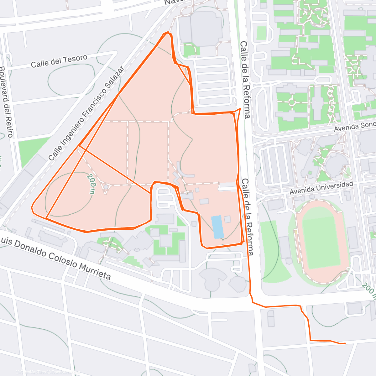 Map of the activity, Morning Run