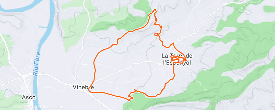 Карта физической активности (Carrera de tarde)